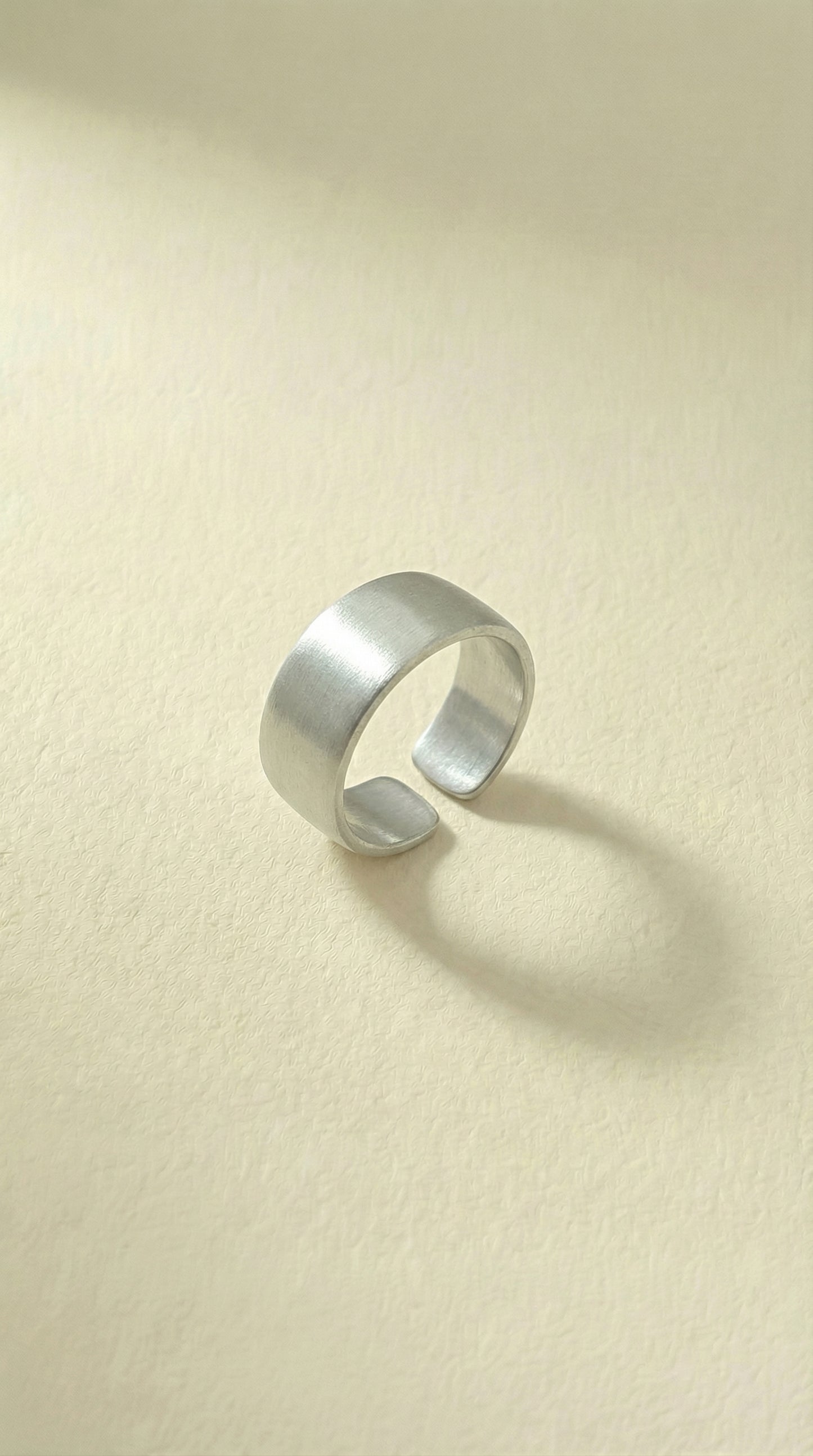 Brushed Steel Ring