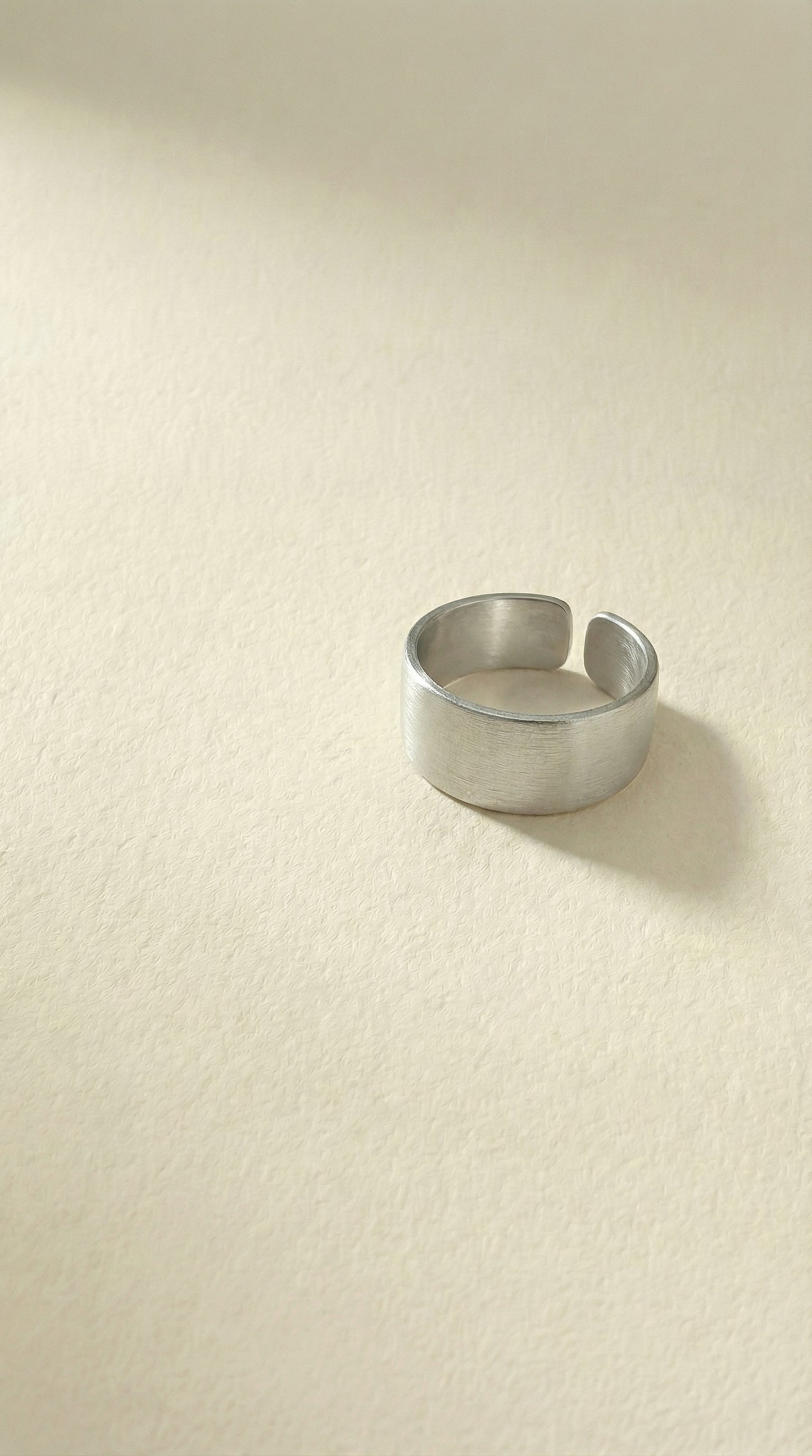 Brushed Steel Ring