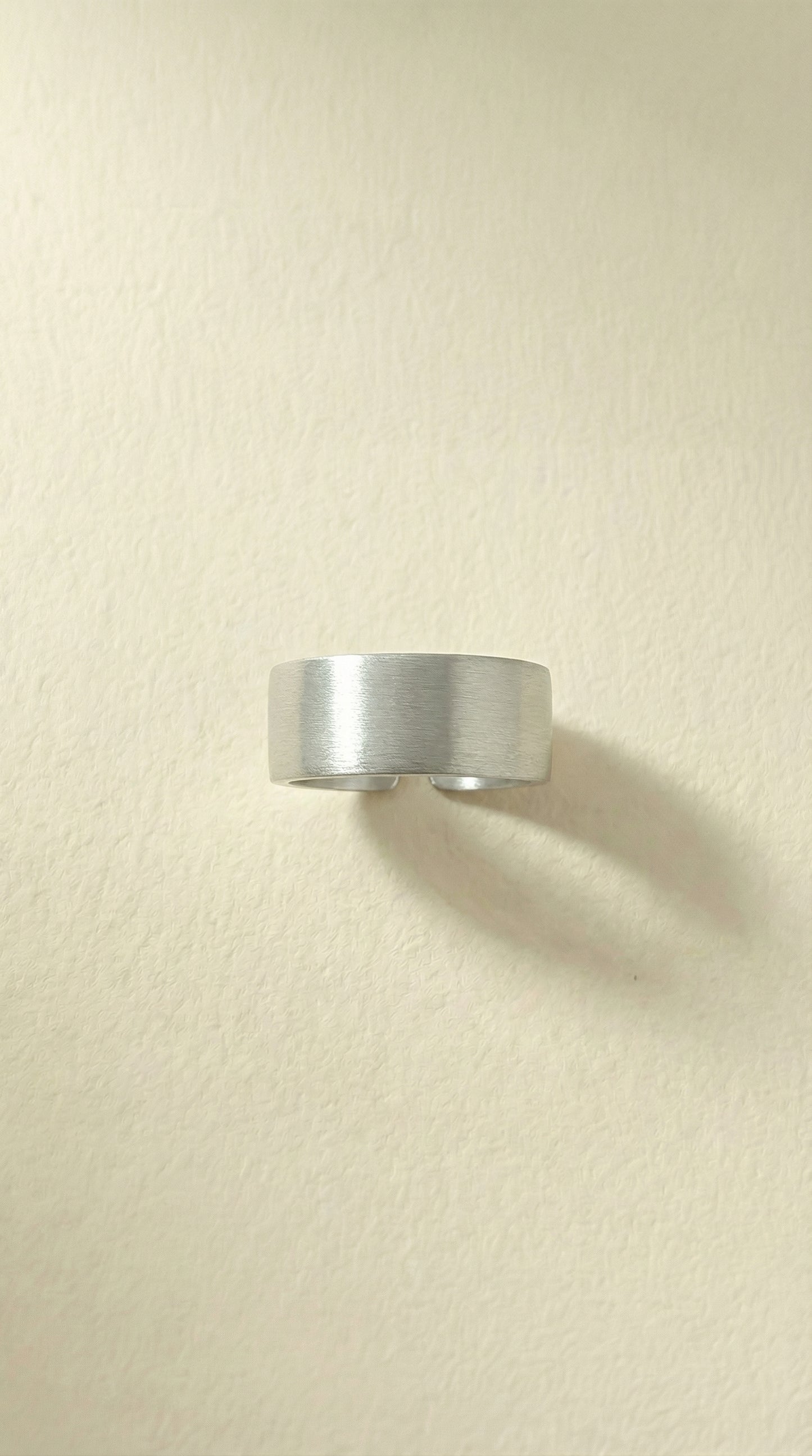 Brushed Steel Ring